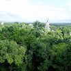 P1010635.JPG
