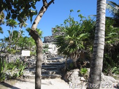 IMG_1504 IMG_1504
