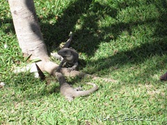 IMG_1545 IMG_1545