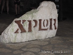 IMG_1563 IMG_1563