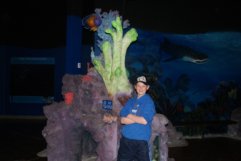 [Aquarium April 2011 032[3].jpg]