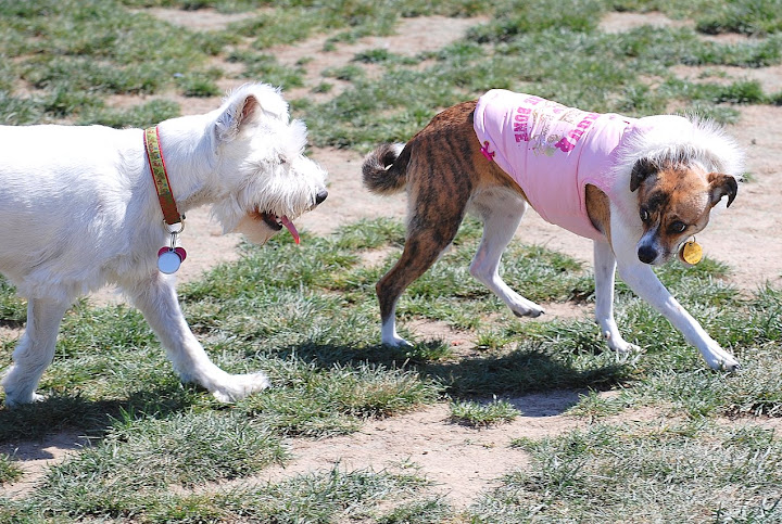 Wanna play chase with me?!