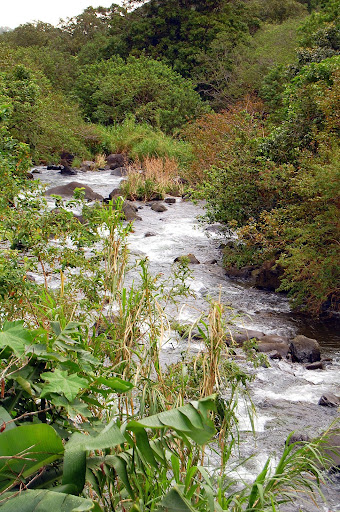 While hiking, this is just some of the scenery we saw in Iao Valley