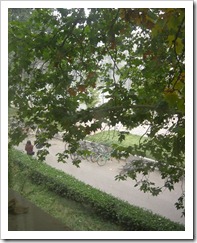DSCN3242-2