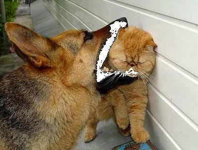 [dog_eating_pussy2.jpg]