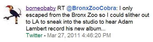 [BZC Tweet about Adam Lambert[3].png]