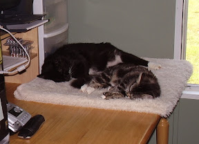Jack & Missy Napping