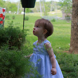IMG_2776.jpg