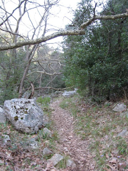 Foto de    Πάρνηθα: Μόλα - Σφενδάλη (Μαλακάσα)