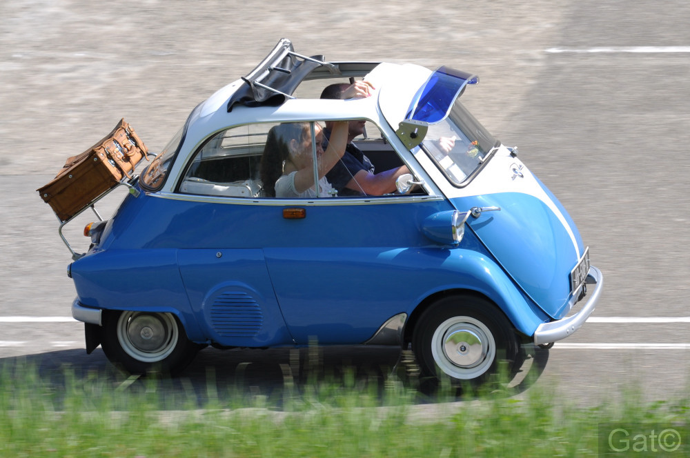 [Image: DSC_0137.JPG]