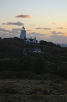 IMG_0894_1.jpg