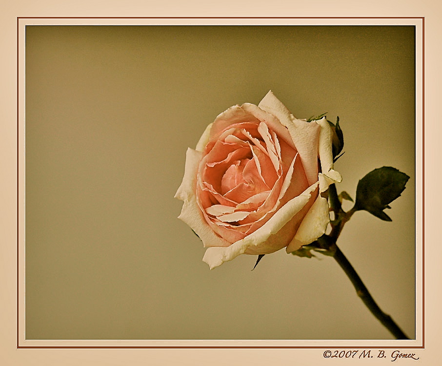 [One+for+the+ladies.jpg]