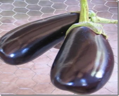 berinjela