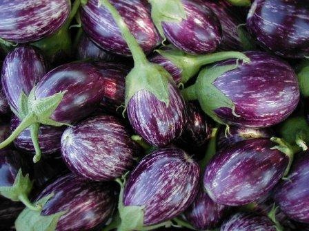 [eggplant_rosabianca[5].jpg]
