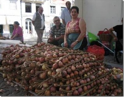 16 a 23 ago-feira das cebolas(net)