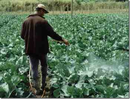 agrotoxico