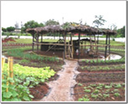 1211img_oque_agri_1