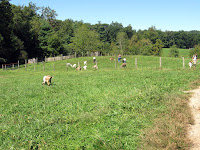 IMG_5647.JPG