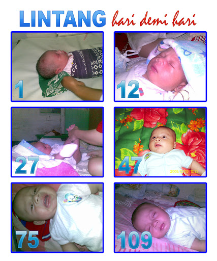 Lintang hari demi hari Lintang hari demi hari