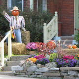 Fall