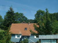 DSC06649.JPG Photo