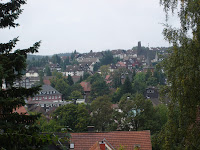 DSC07813.JPG Photo