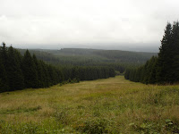 DSC07823.JPG Photo