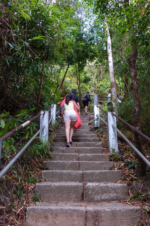 [P1070485[1].jpg]