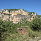 IMG_1373.jpg