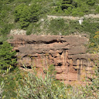 IMG_1374.jpg