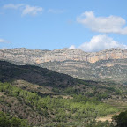 IMG_1393.jpg