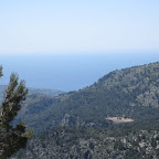 IMG_1250.jpg