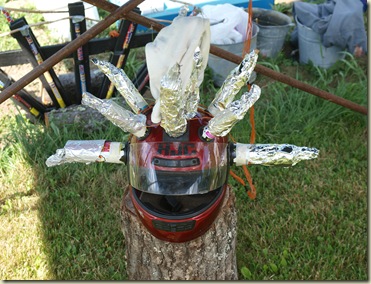 GradParty_MaryMelissa_3337
