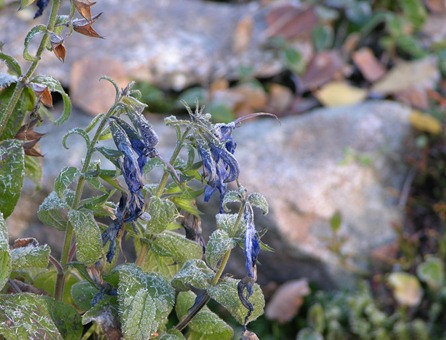 DSCN0539 DSCN0539
