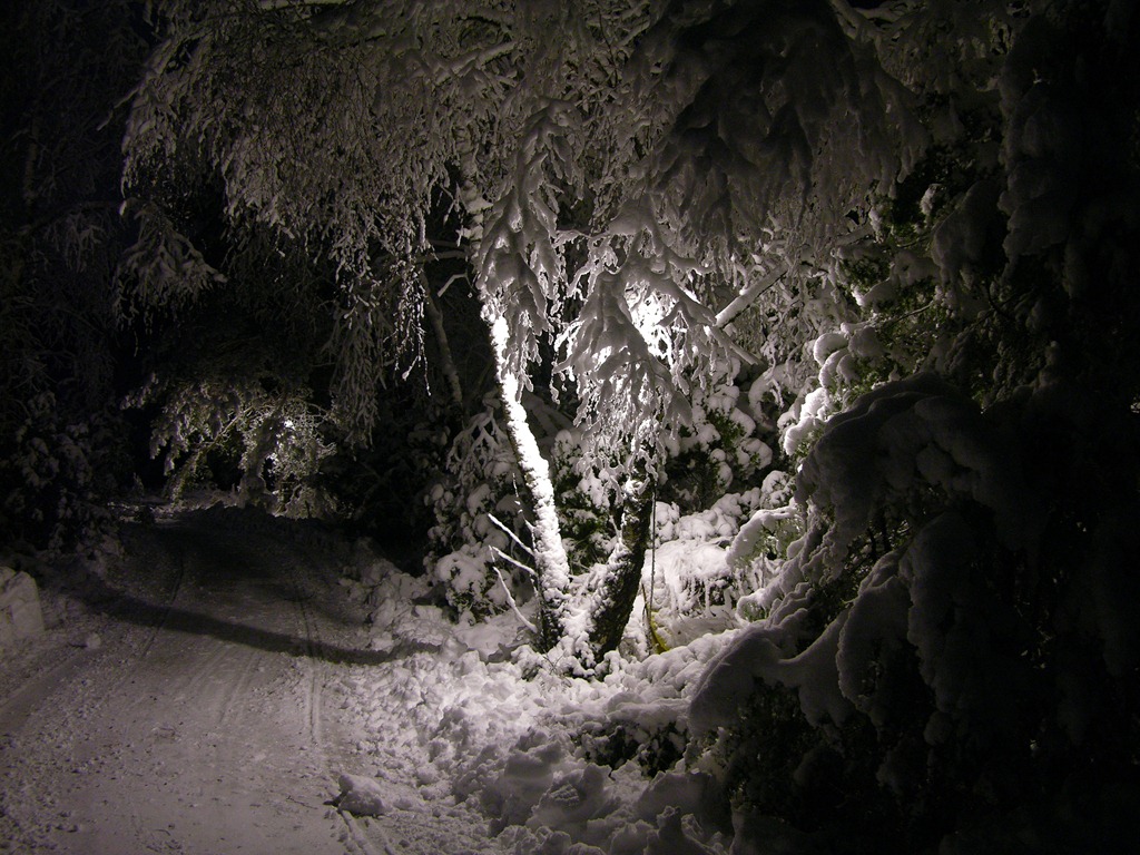 [Snö 2009 013[4].jpg]