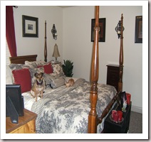bedroomsideview