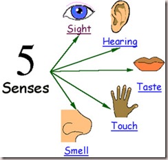 5-senses