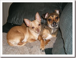 Brothers