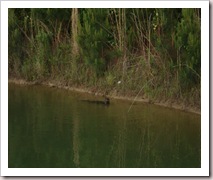 Picture 037