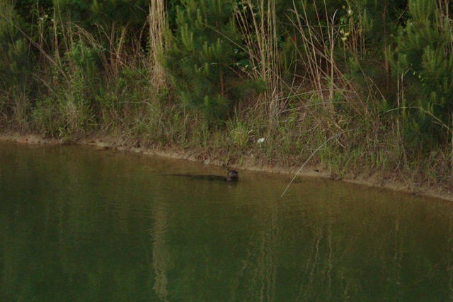 [Picture 037.jpg]