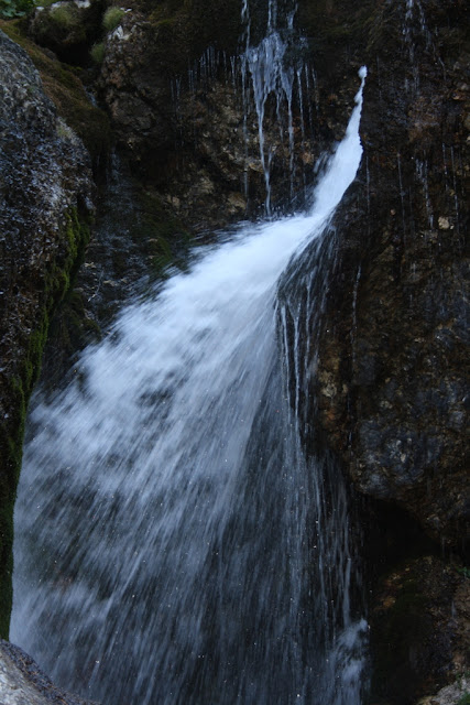 IMG_7397.JPG