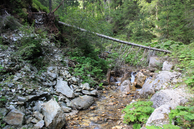 IMG_7419.JPG