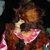 Belle03.jpg