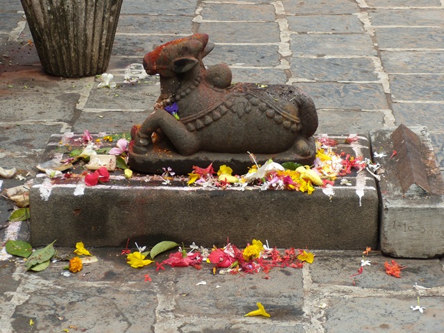 [saakshi1 133[3].jpg]