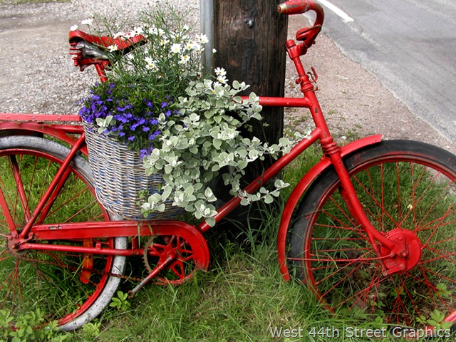 [Bicyclef_flowers#57A4[11].jpg]