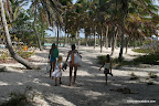 Plage de palmier