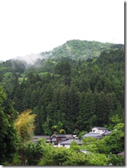 IMG_2242 IMG_2242