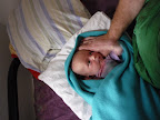 p1010563.jpg