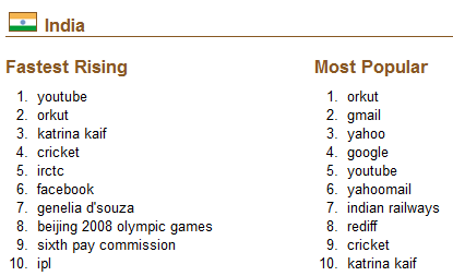 Top Google Searches 2008 - India