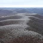 Ice Storm Damage survey: Leg One, Little Rock to Fayetteville